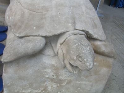 CIMG1741.JPG