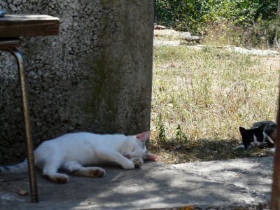P1180166.JPG