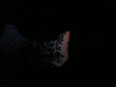 P1180209.JPG