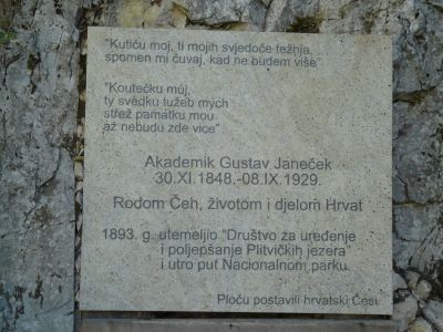 P1190014.JPG
