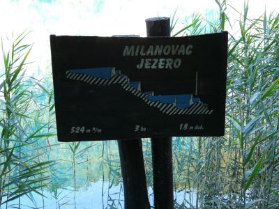 P1190035.JPG