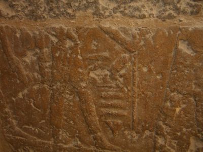 CIMG8485.JPG