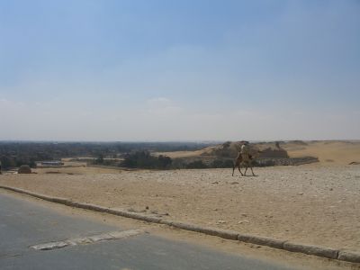 CIMG8497.JPG
