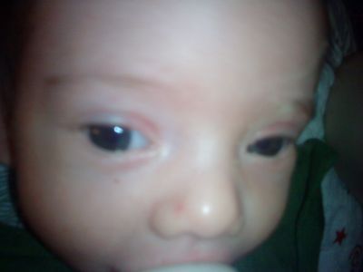 DSC00467.JPG