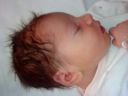 DSC00215.JPG