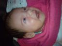 DSC00493.JPG