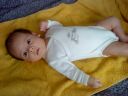 DSC00502.JPG