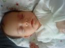 DSC00511.JPG