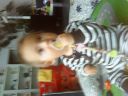 DSC01250.JPG