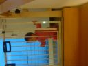 DSC01307.JPG