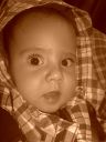 CIMG0661.JPG