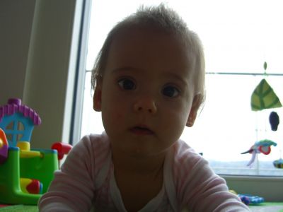 CIMG0100.JPG