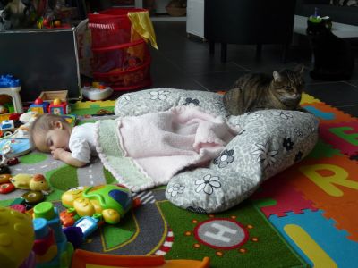 P1190541.JPG