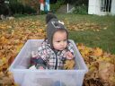 PICT0172.JPG