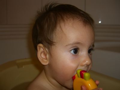 CIMG0781.JPG