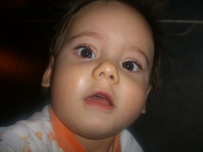 CIMG0803.JPG