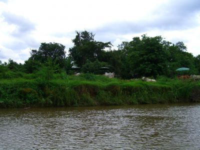 cimg3663.jpg