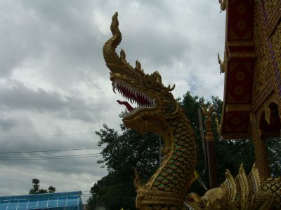 cimg3796.jpg