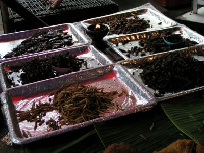 PICT0052.JPG