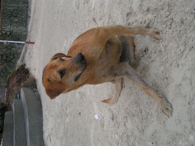 PICT0082_001.JPG