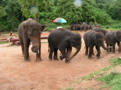 PICT0118.JPG
