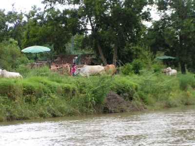 PICT0147.JPG