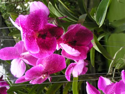 PICT0180.JPG