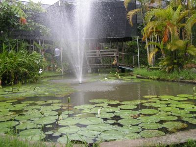 PICT0202.JPG