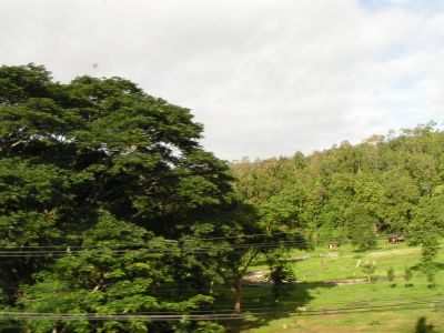 PICT0243.JPG