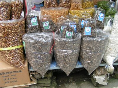 PICT0262.JPG