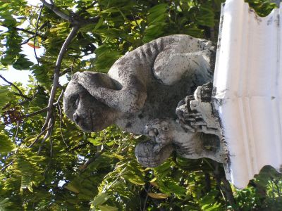 PICT0732.JPG