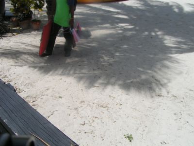 PICT0968.JPG