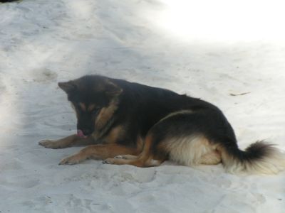 PICT1016.JPG