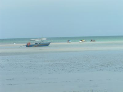 PICT1018.JPG