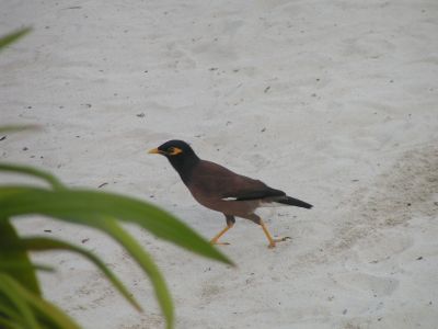 PICT1198.JPG
