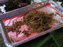 PICT0053.JPG