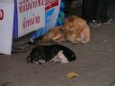 PICT0055.JPG