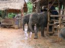 PICT0064.JPG