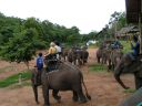 PICT0065.JPG