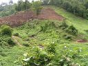 PICT0082.JPG