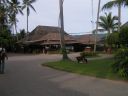 PICT0111_001.JPG