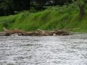 PICT0145.JPG