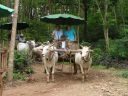 PICT0174.JPG