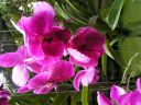 PICT0180.JPG