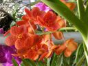PICT0181.JPG