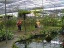 PICT0183.JPG