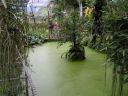 PICT0184.JPG
