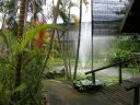 PICT0186.JPG