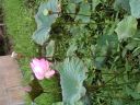 PICT0190.JPG