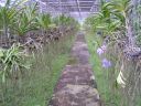 PICT0199.JPG